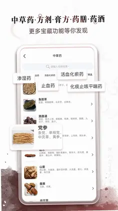 中医经络穴位预览图