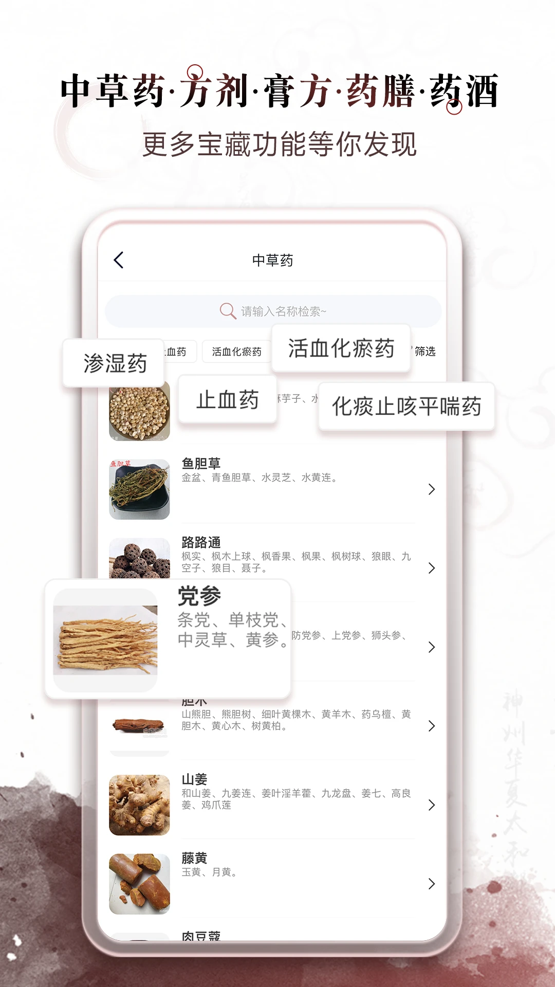 中医经络穴位名师课程界面