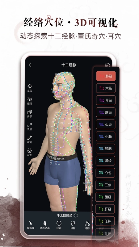 中医经络穴位预览图