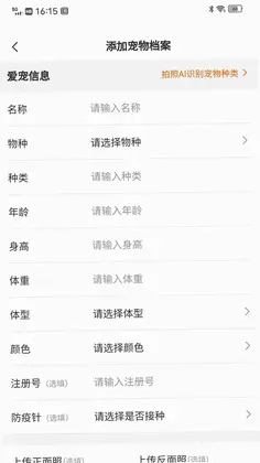 宠遇预览图