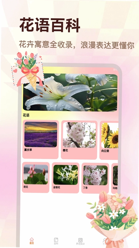 易得花预览图