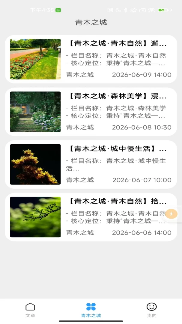 青木之城内容界面