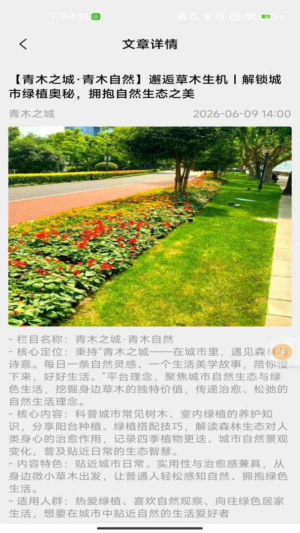 青木之城阅读模式