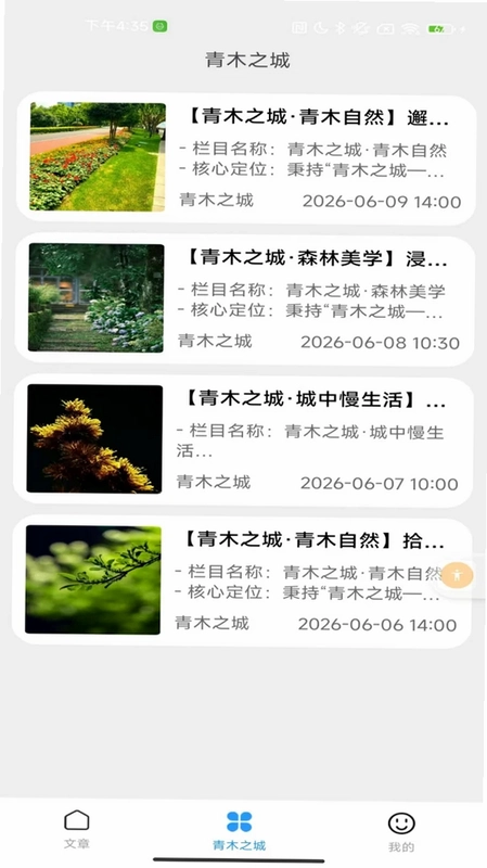 青木之城预览图