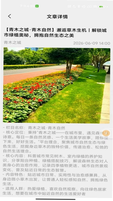 青木之城预览图