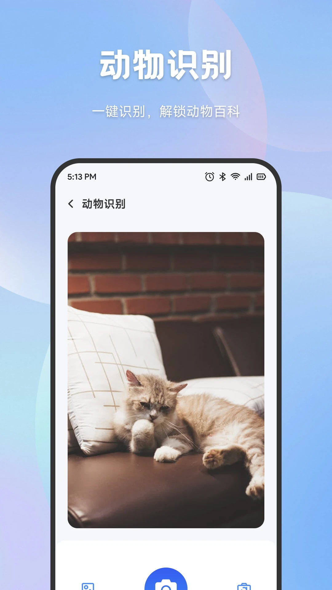 手机搬家互传百科查询