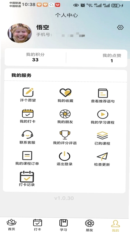 菩提果预览图