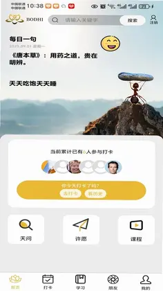 菩提果预览图