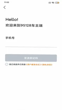 95128车主端app预览图