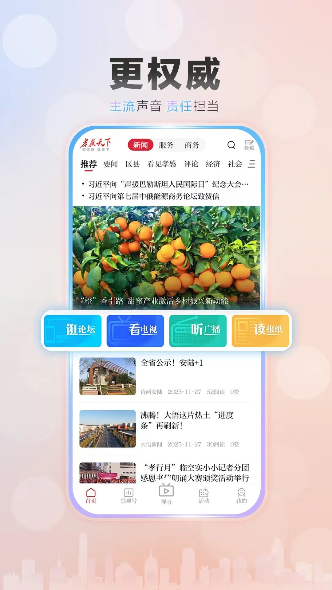 孝感天下预览图