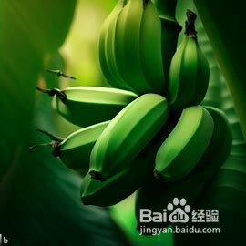 ����ȥɬ�ڼ��� �ྲྀ���췽��