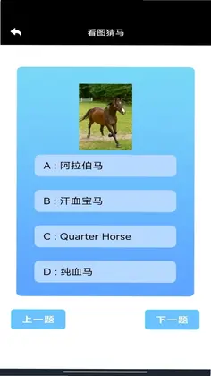 万马奔财预览图