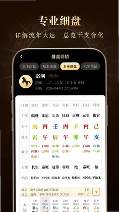 借问八字排盘软件预览图