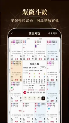 借问八字排盘软件预览图