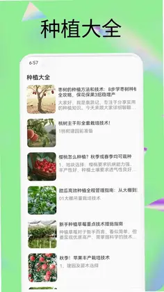 果六郎预览图