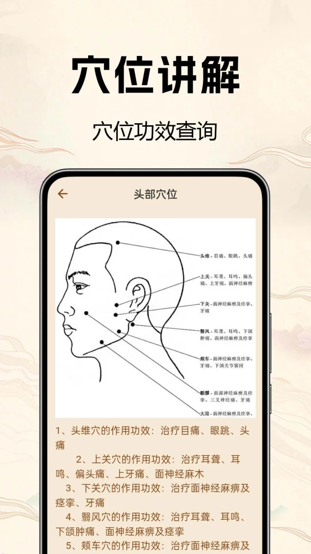 中医经络穴位详解穴位查询界面