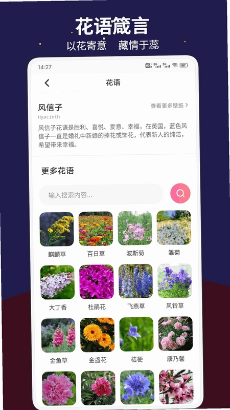 惠聚生活手机版预览图
