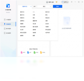批量翻译操作