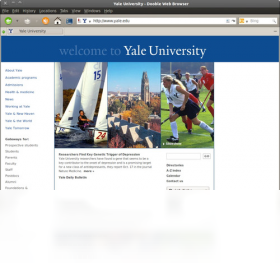Dooble Web Browser界面预览