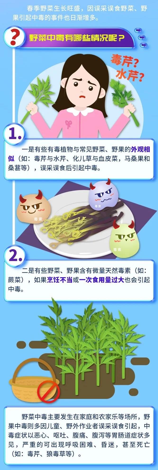 祝余草禁忌误食野草安全提醒配图