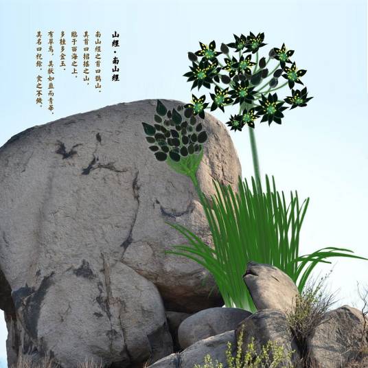 祝余草百度百科山海经原文查询配图