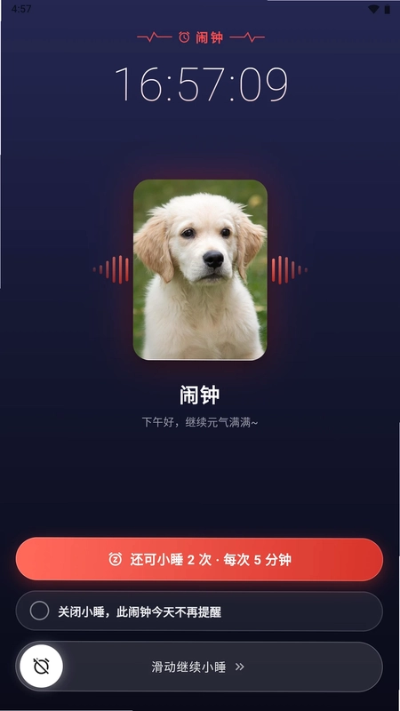 ���Ӹ�������Ԥ��ͼ