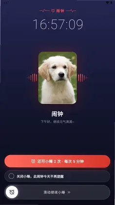 柚子福袋闹钟预览图