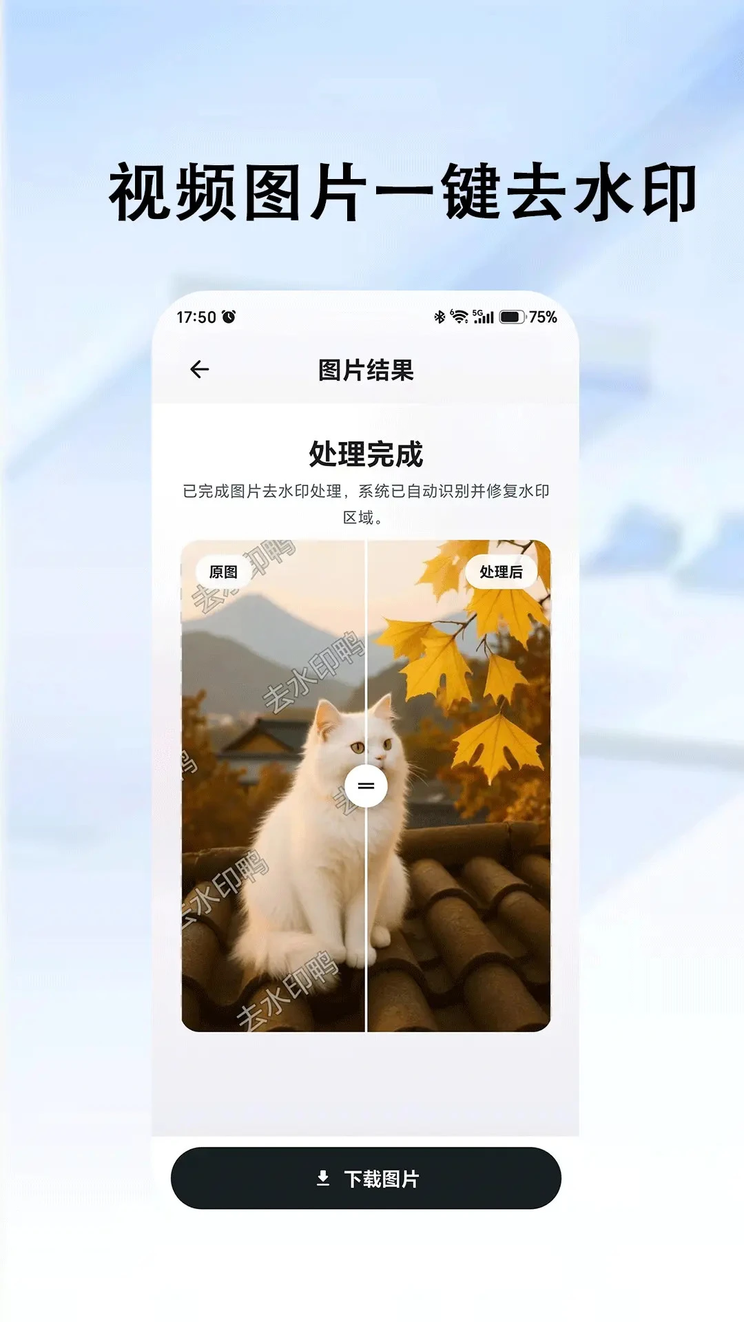 去水印鸭预览图