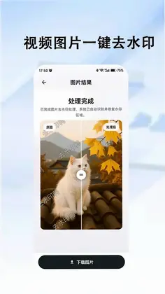去水印鸭预览图