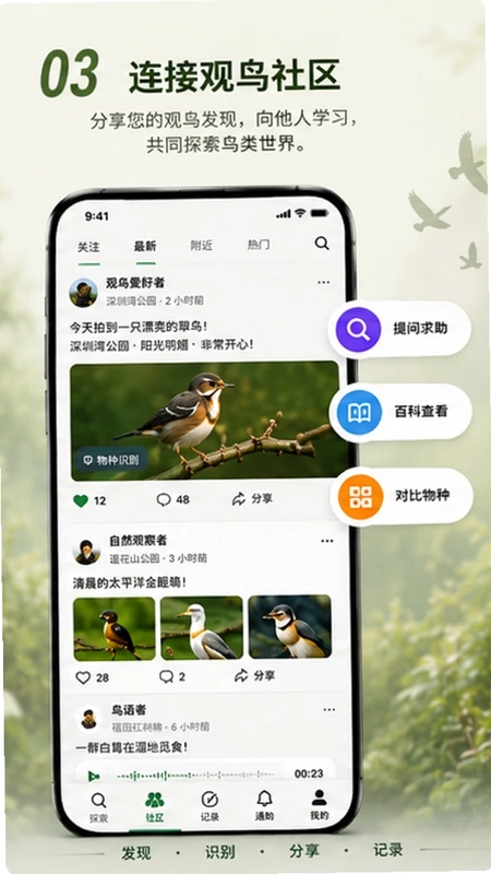 Go Birding����Ԥ��ͼ