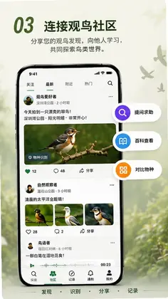 Go Birding����Ԥ��ͼ