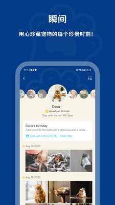 PawView�����һ�