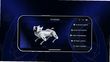 Gogobot ��������������Ԥ��ͼ