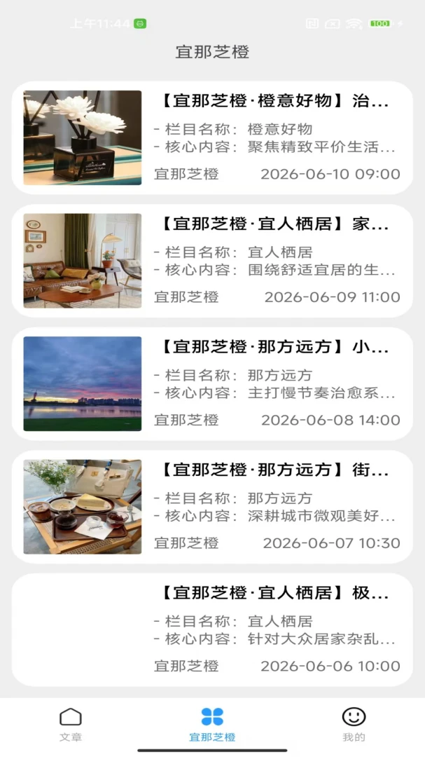 宜那芝橙适用人群