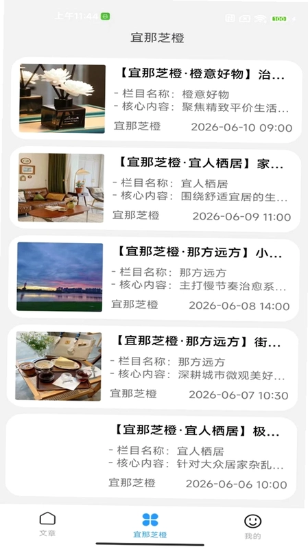 宜那芝橙预览图