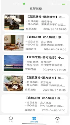 宜那芝橙预览图