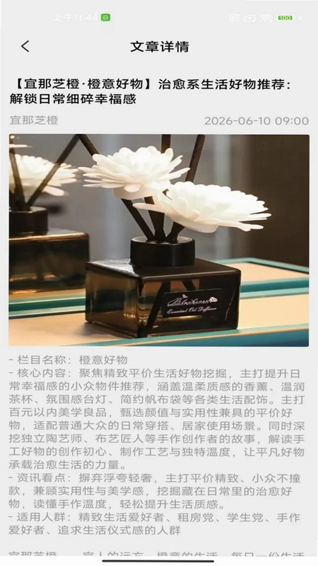 宜那芝橙预览图