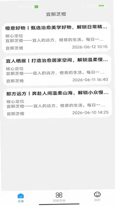 宜那芝橙预览图