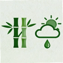 竹露天气