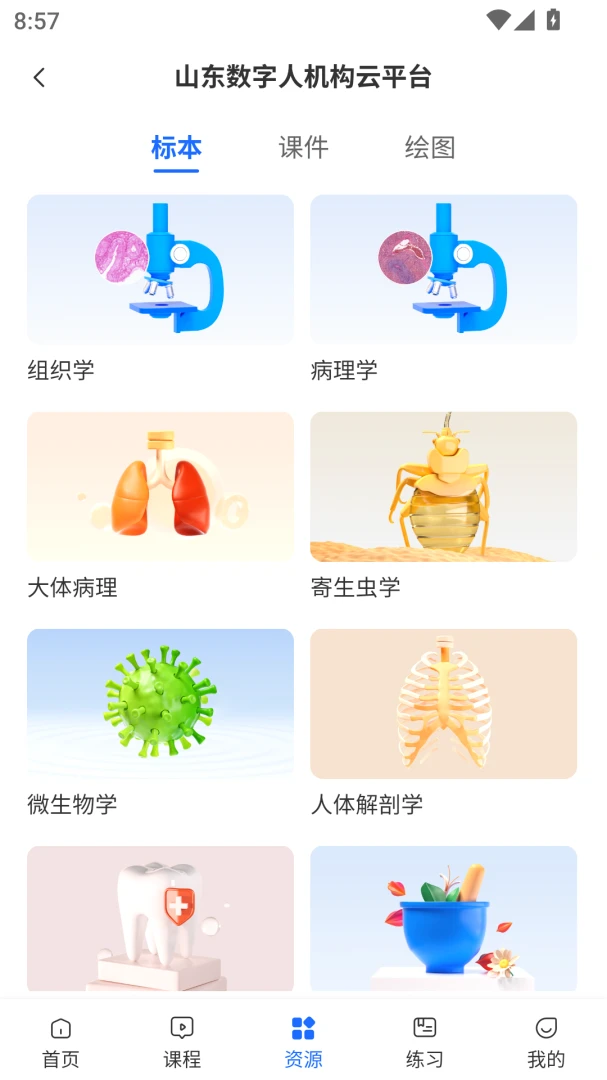 数字人云平台内容展示