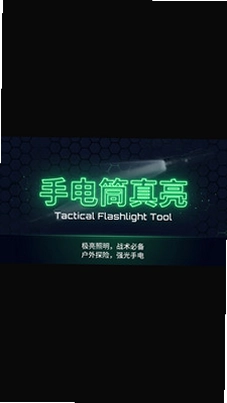 手电筒真亮预览图