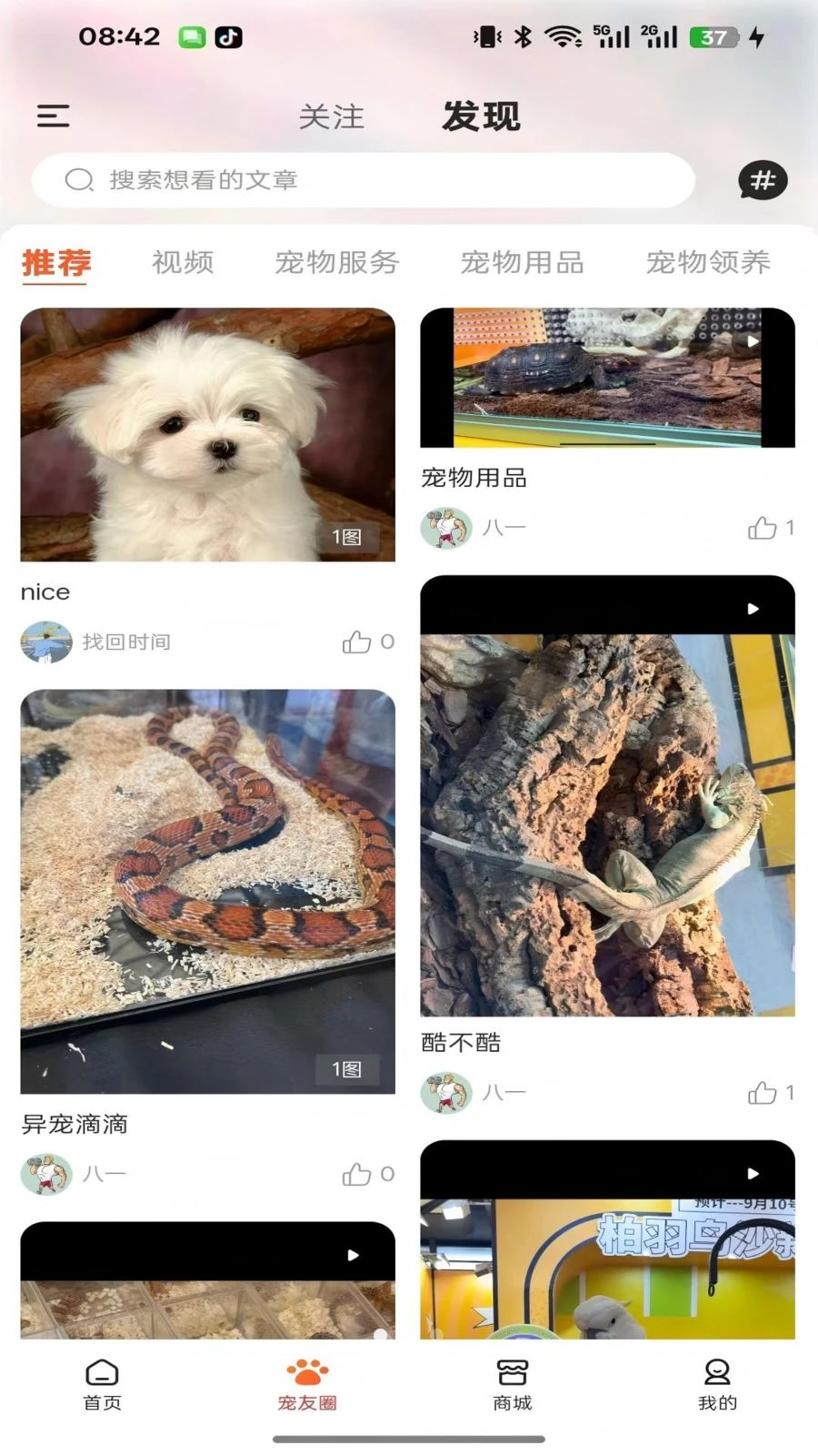 执宠乐预览图