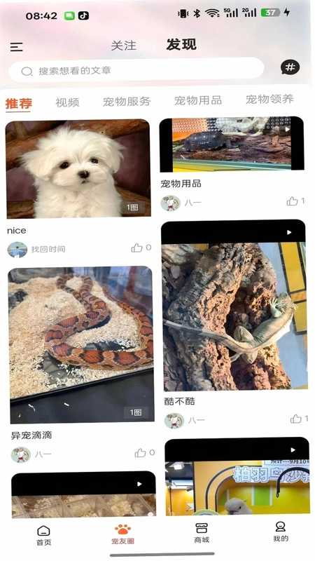 执宠乐预览图