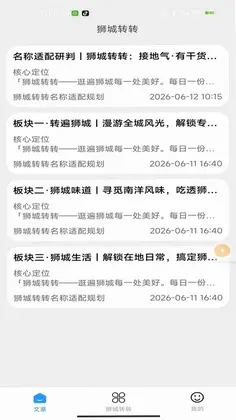 狮城转转预览图