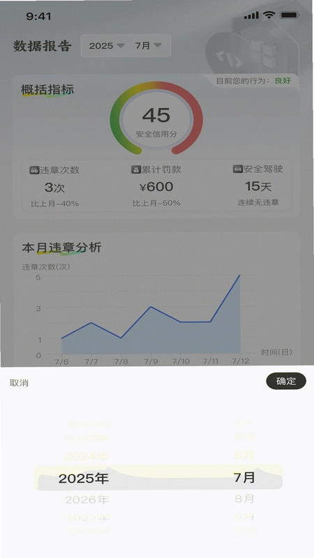 交通违规记录预览图