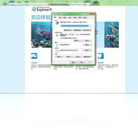 Internet Explorer 9安全设置