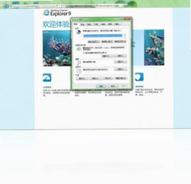 Internet Explorer 9浏览器预览图