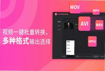 转转大师视频格式转换器电脑版预览图