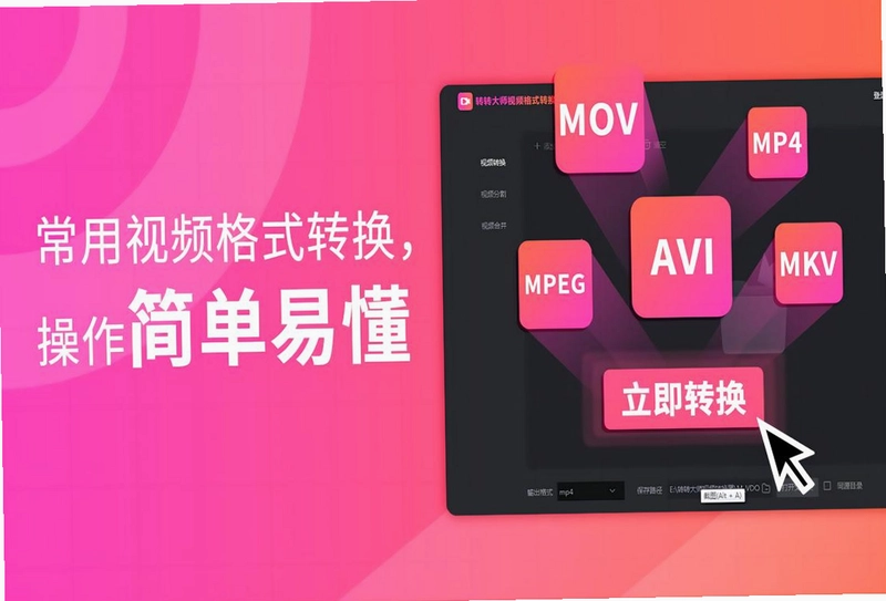 转转大师视频格式转换器电脑版预览图