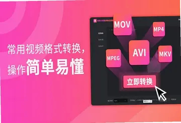 转转大师视频格式转换器电脑版预览图